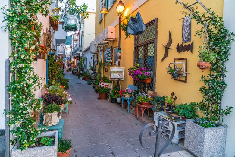 Coloridas casas de Ischia