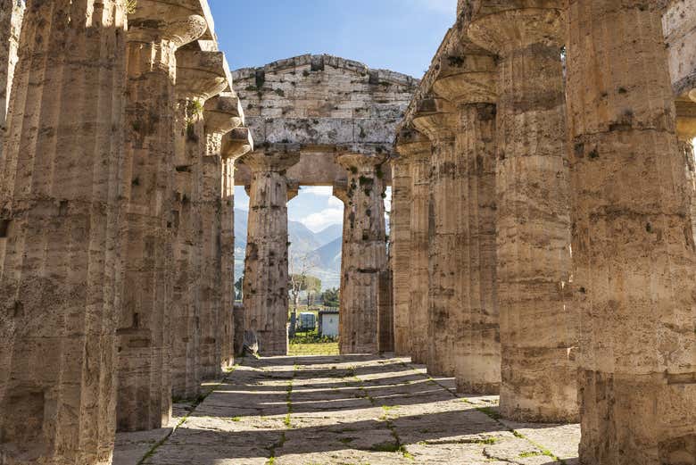 Admirando el templo de Neptuno en el yacimiento de Paestum